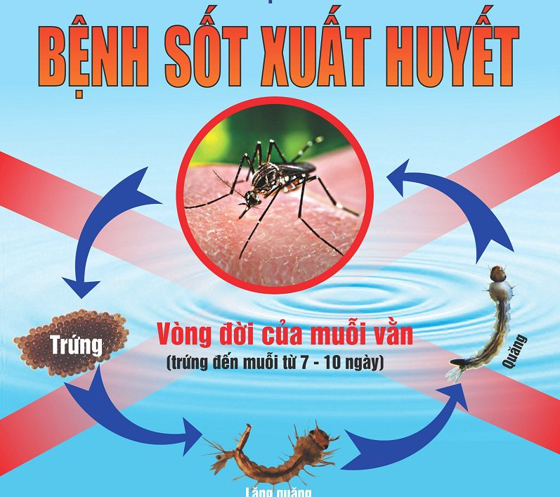 SOT XUAT HUYET 3