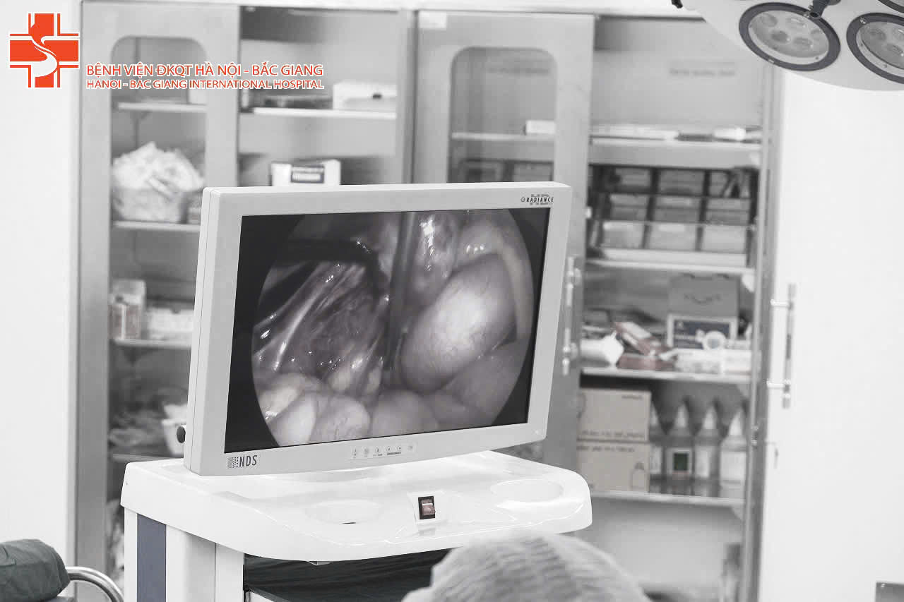 666666193 1568791138585370 8674224469000802618 n