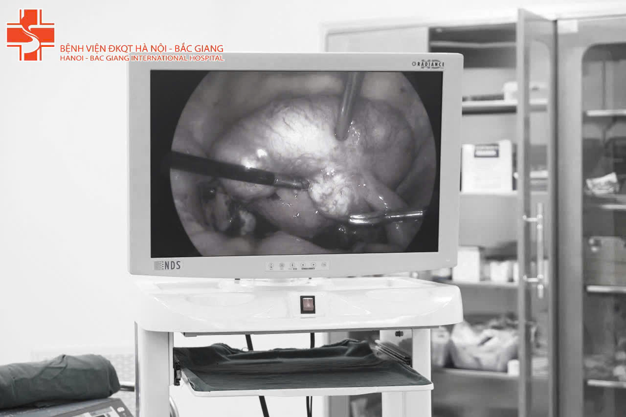 668594190 1568791128585371 7334519267294379435 n